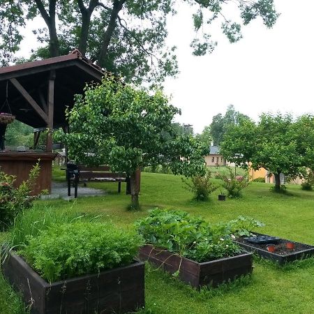 Mija Apartman S Vinnym Sklipkem, Zahradou A Grilem Kajov Luaran gambar
