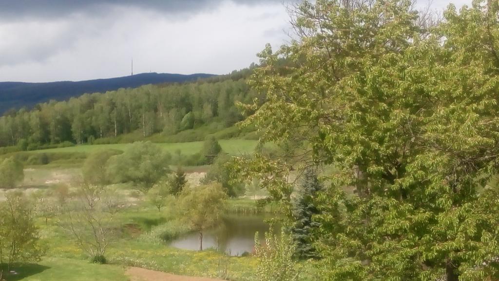 Mija Apartman S Vinnym Sklipkem, Zahradou A Grilem Kajov Luaran gambar