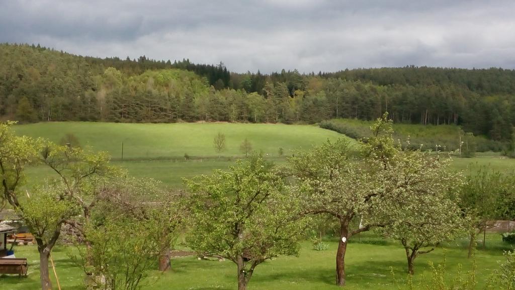 Mija Apartman S Vinnym Sklipkem, Zahradou A Grilem Kajov Luaran gambar